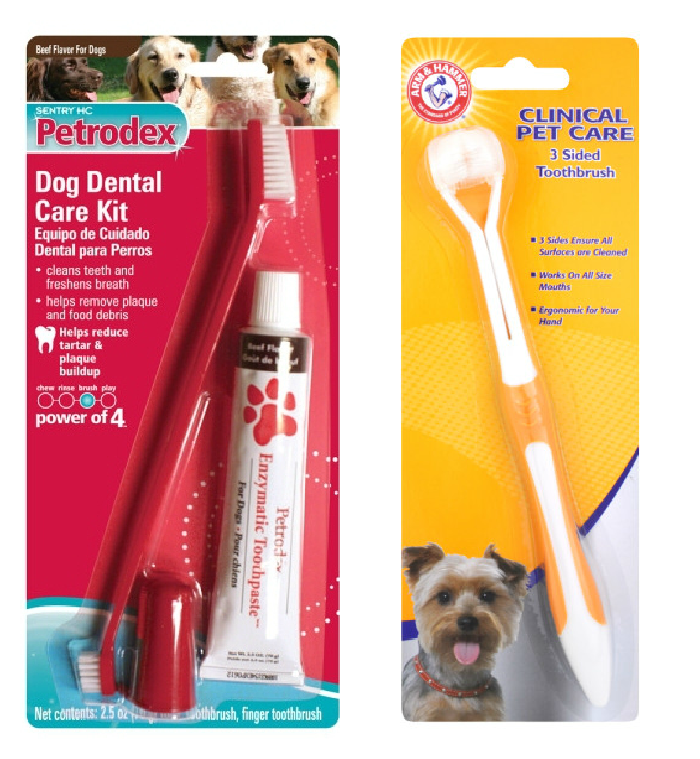 Chip and Daisy Approved – Pet Dental Health Month {review}