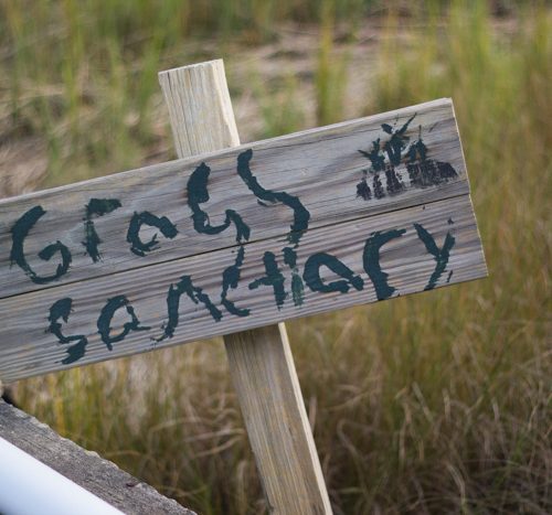 grass sanctuary