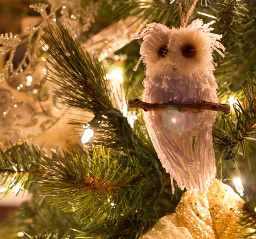 white owl in christmas tree