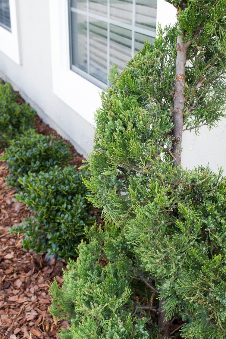 Curb appeal sneak peek