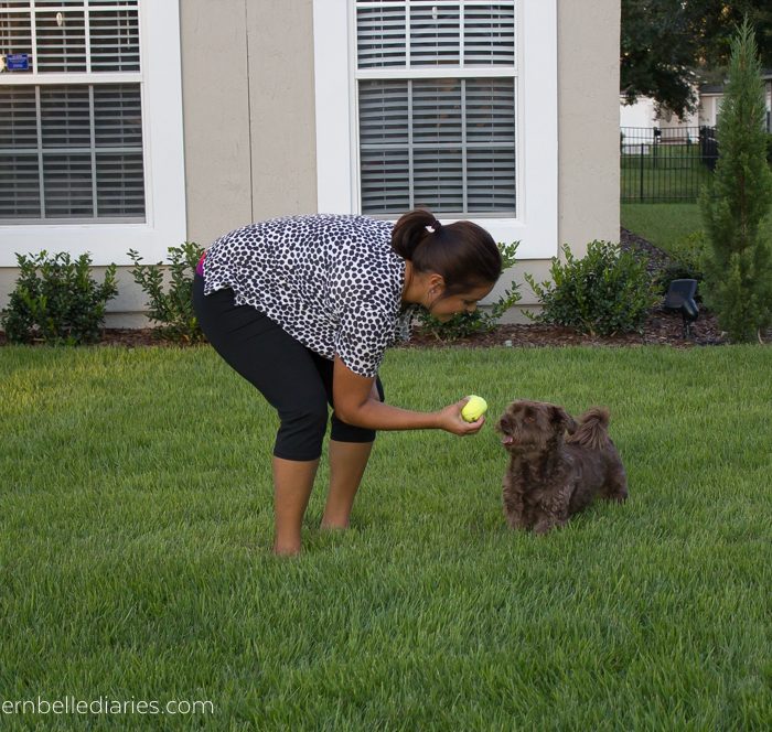 5 Things I’ve Learned from Being a Dog Mom