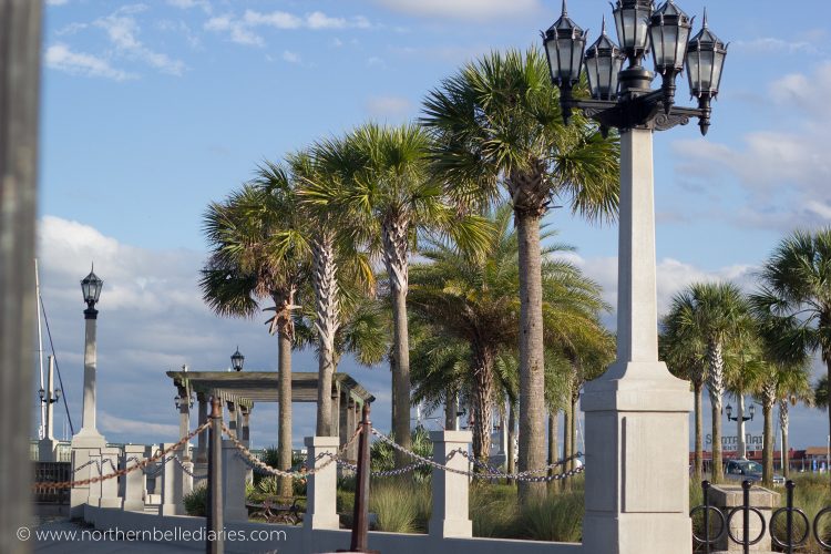 dock in St. Augustine Florida
