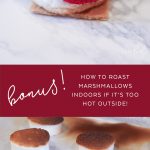 What a great idea- Strawberry + Nutella s'mores! Plus, instructions on how to roast marshmallows without a fire if it's too hot out!