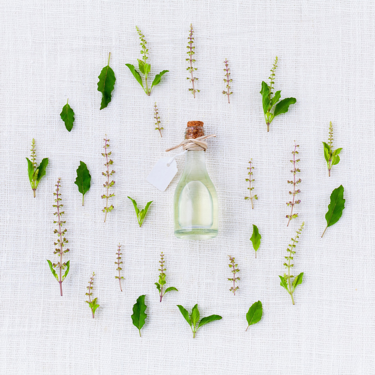 aromatherapy and herbs