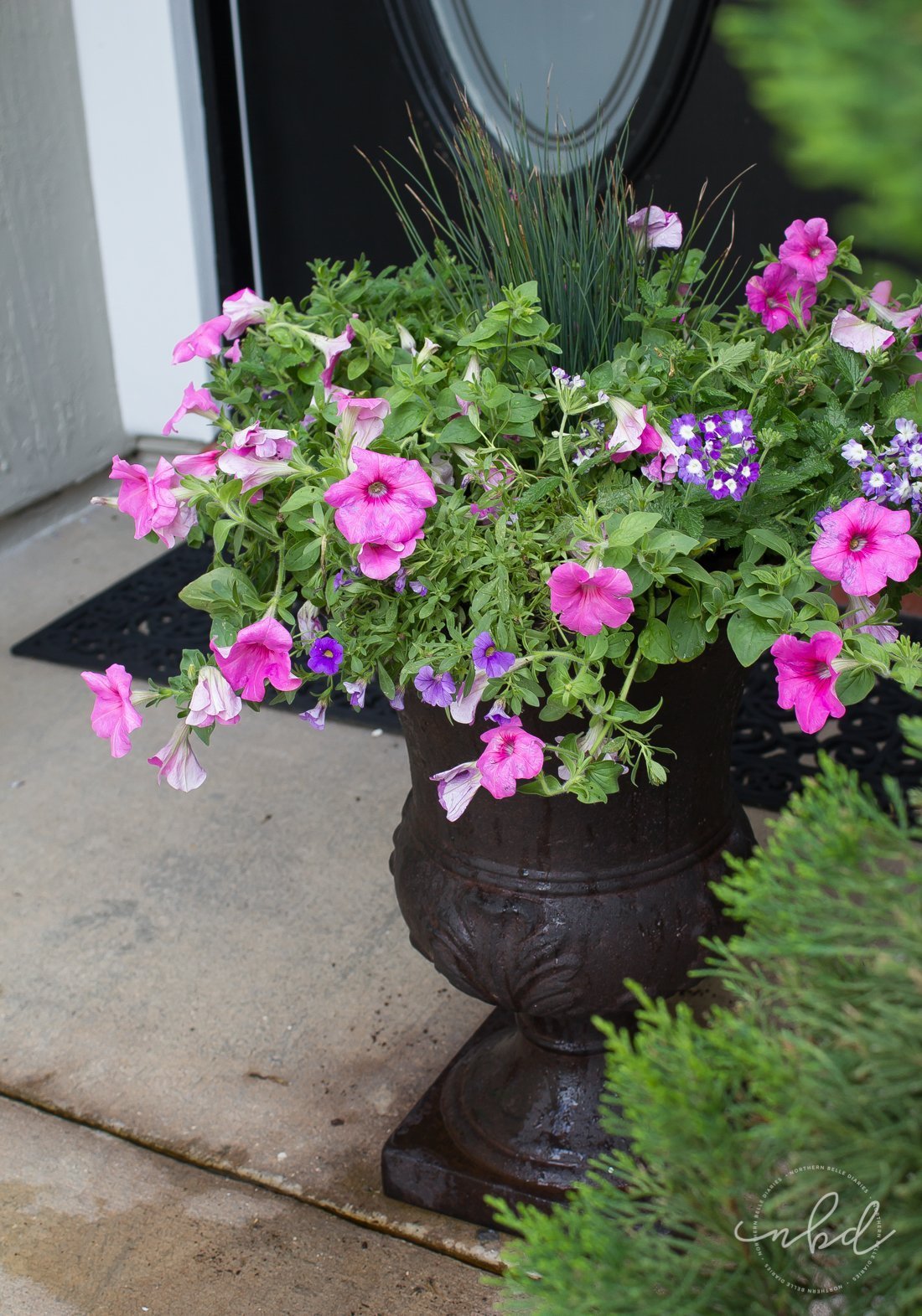 How to Create a Beautiful Planter