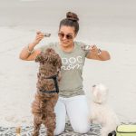 celebrate your dog on their birthday