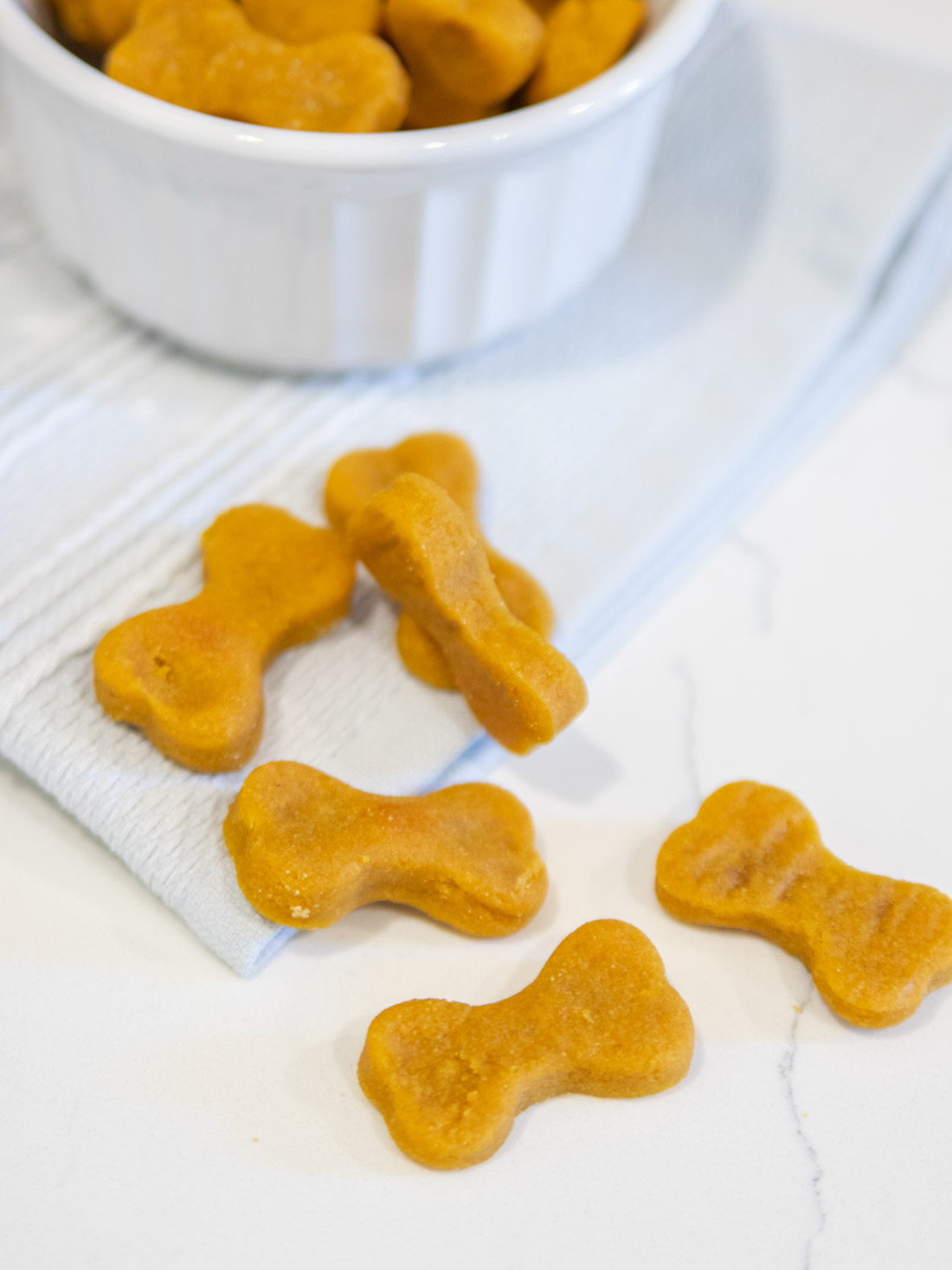 DIY pumpkin peanut butter dog treats on counter